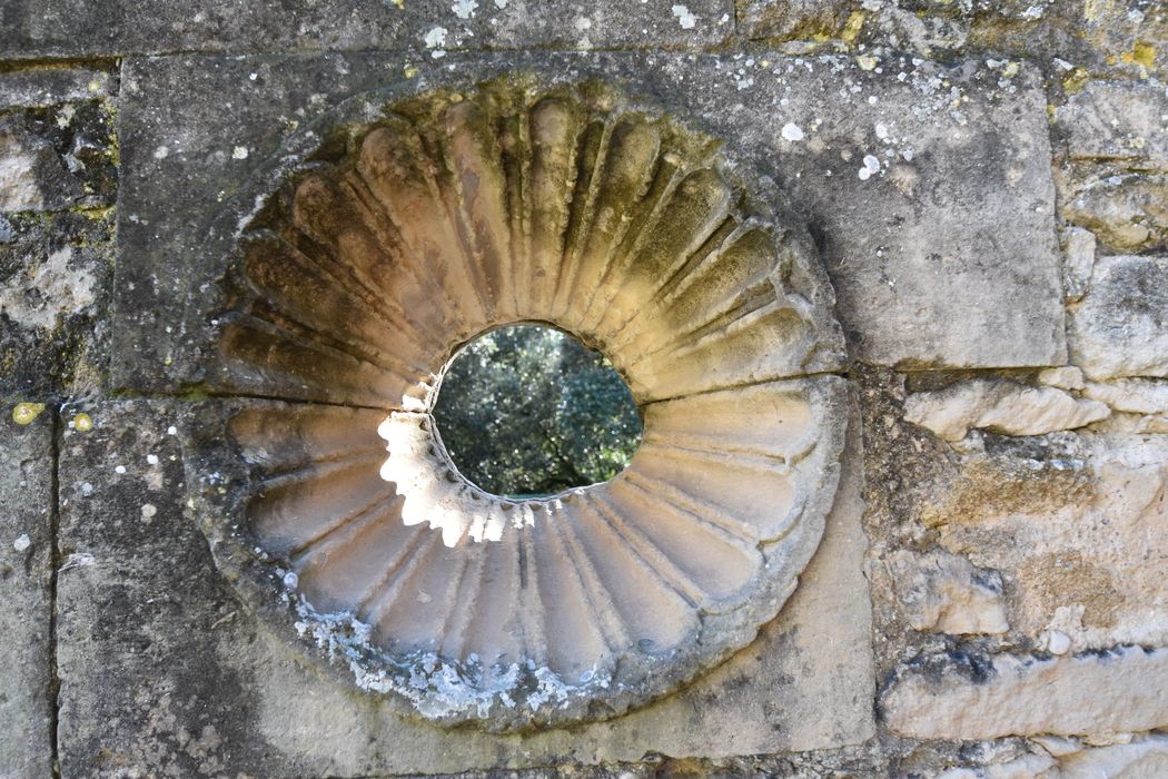 vestiges du jeu de paume, façade sud, détail d’un occulus