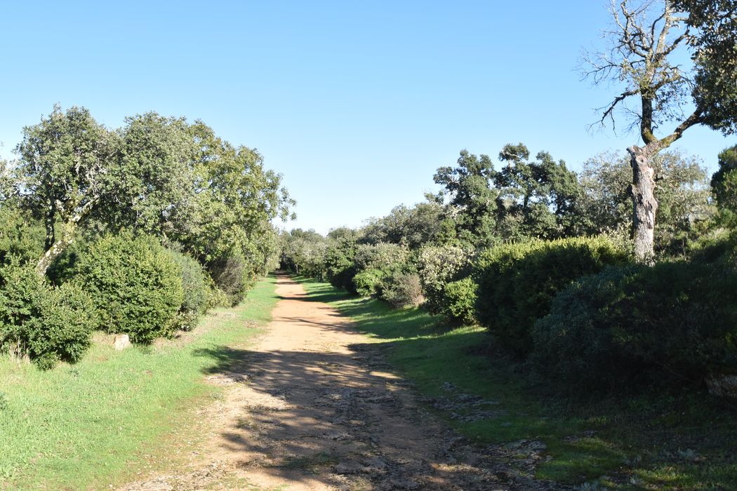 parc, axe est-ouest conduisant à la chapelle