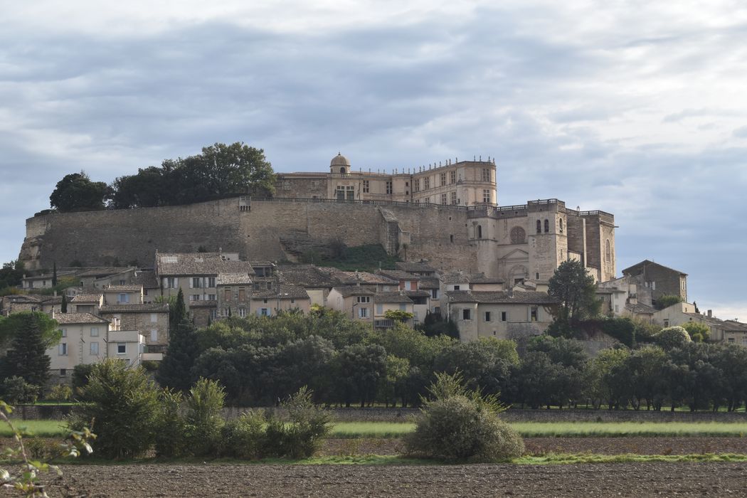 vue générale du château dans son environnement depuis l’Ouest