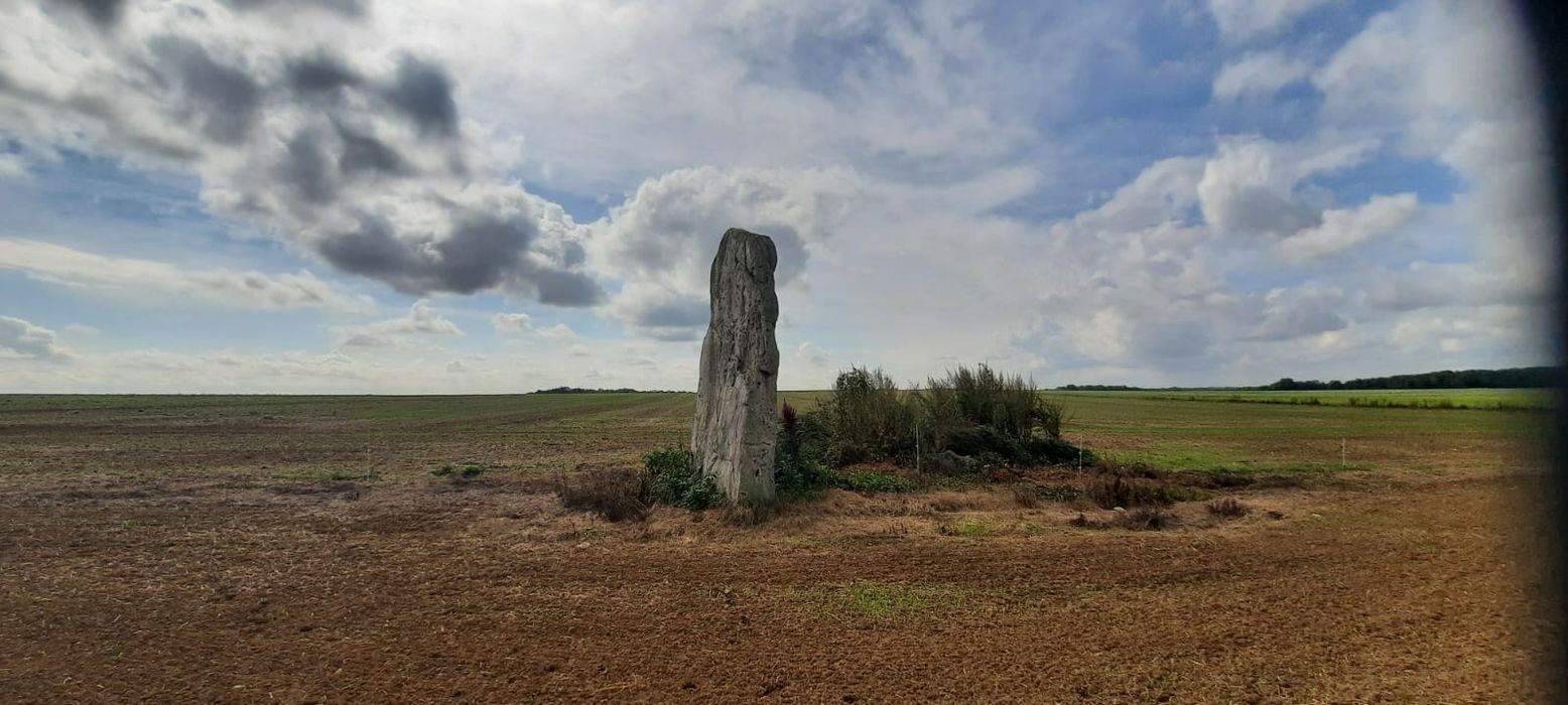 vue générale du menhir dans son environnement