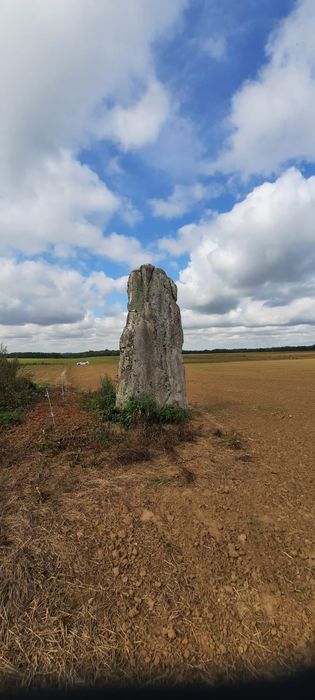 vue générale du menhir dans son environnement