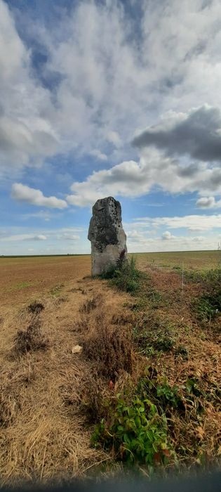 vue générale du menhir dans son environnement