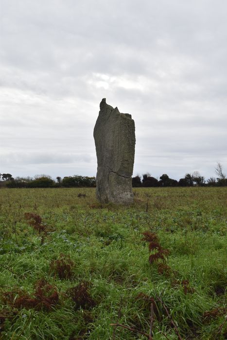 vue générale du menhir