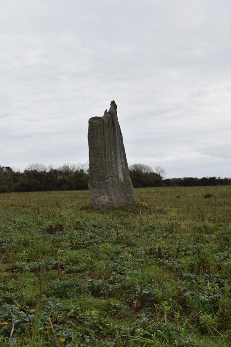 vue générale du menhir