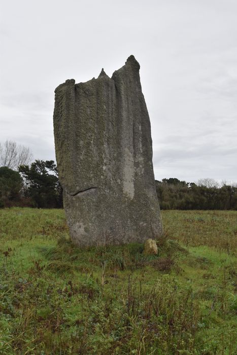 vue générale du menhir