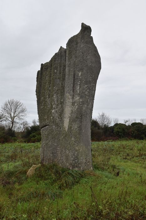 vue générale du menhir