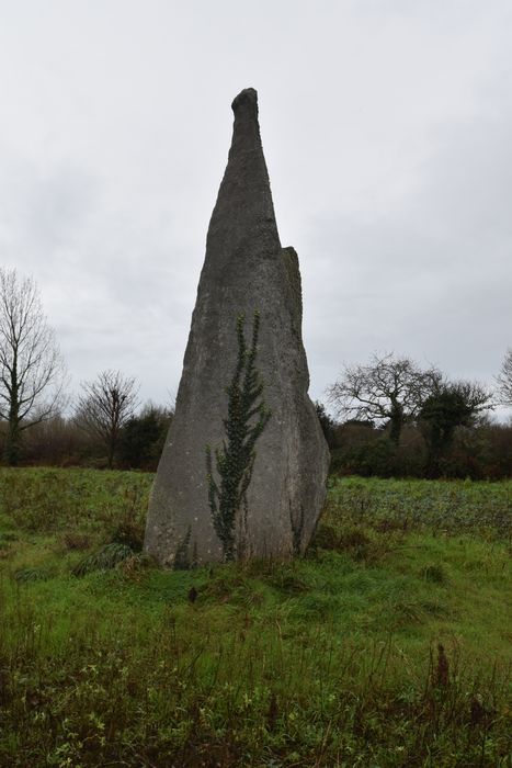 Vue générale du menhir