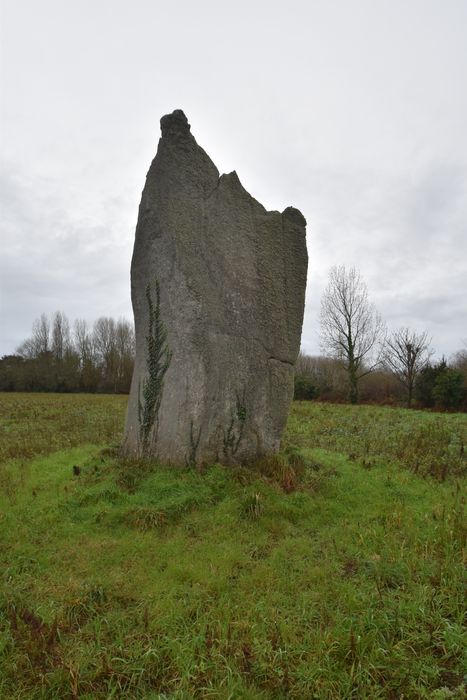 vue générale du menhir