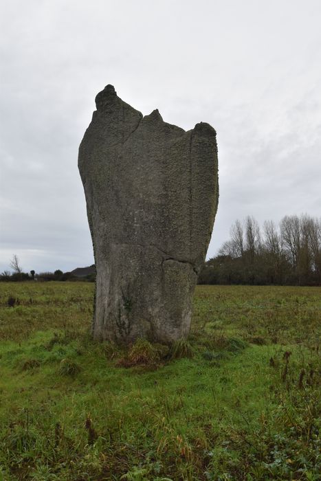 Vue générale du menhir