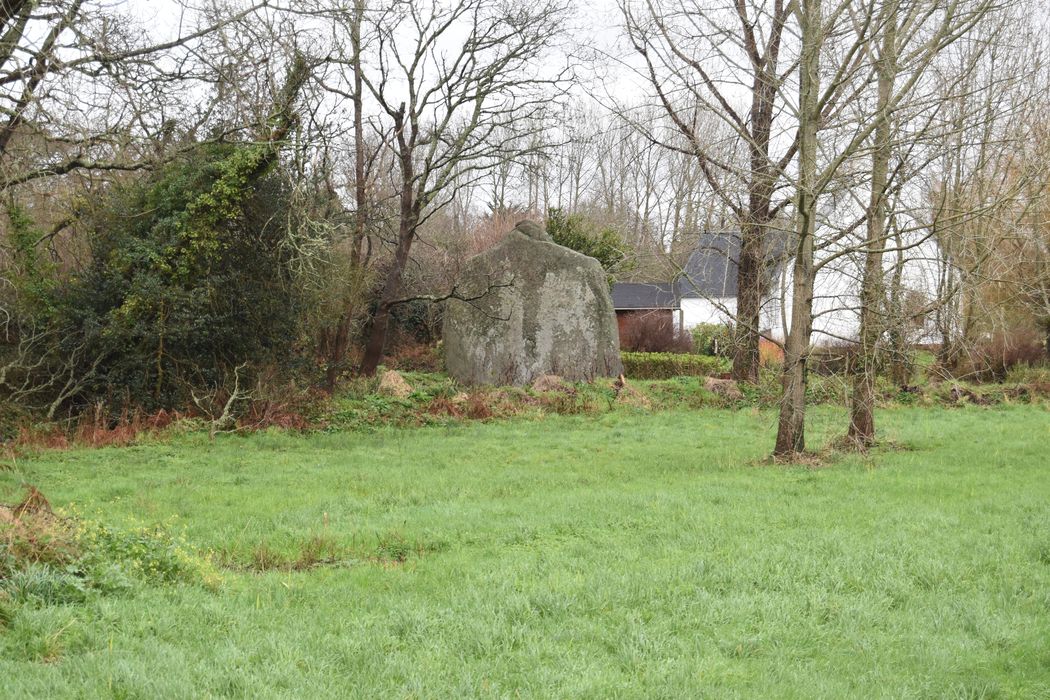 Vue générale du menhir