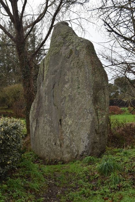 vue générale du menhir