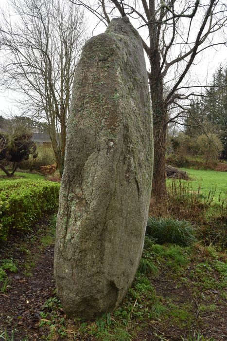 vue générale du menhir