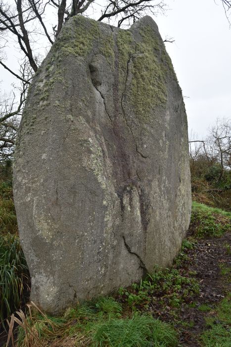 vue générale du menhir