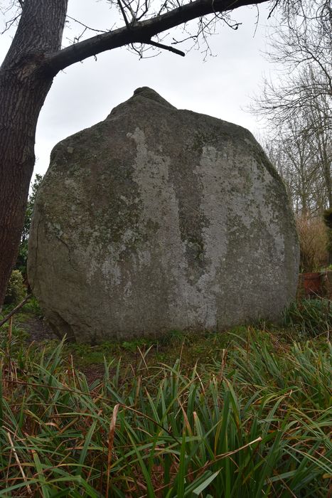 Vue générale du menhir