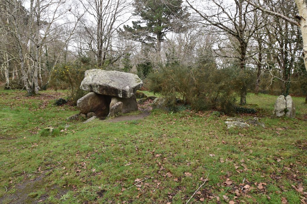 Vue générale du dolmen