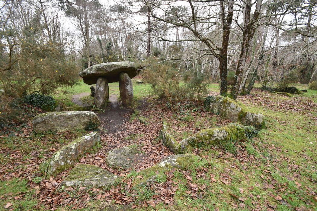 Vue générale du dolmen