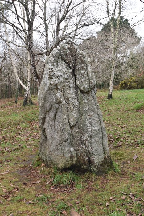 Vue générale du menhir