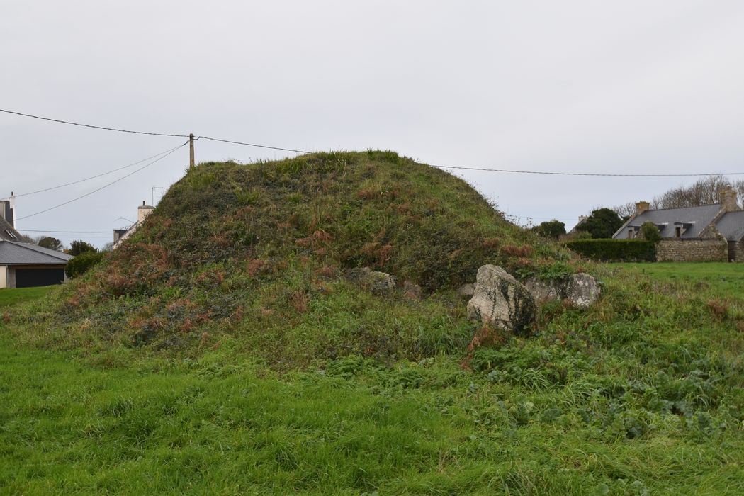 Vue générale du tumulus depuis le Sud-Est