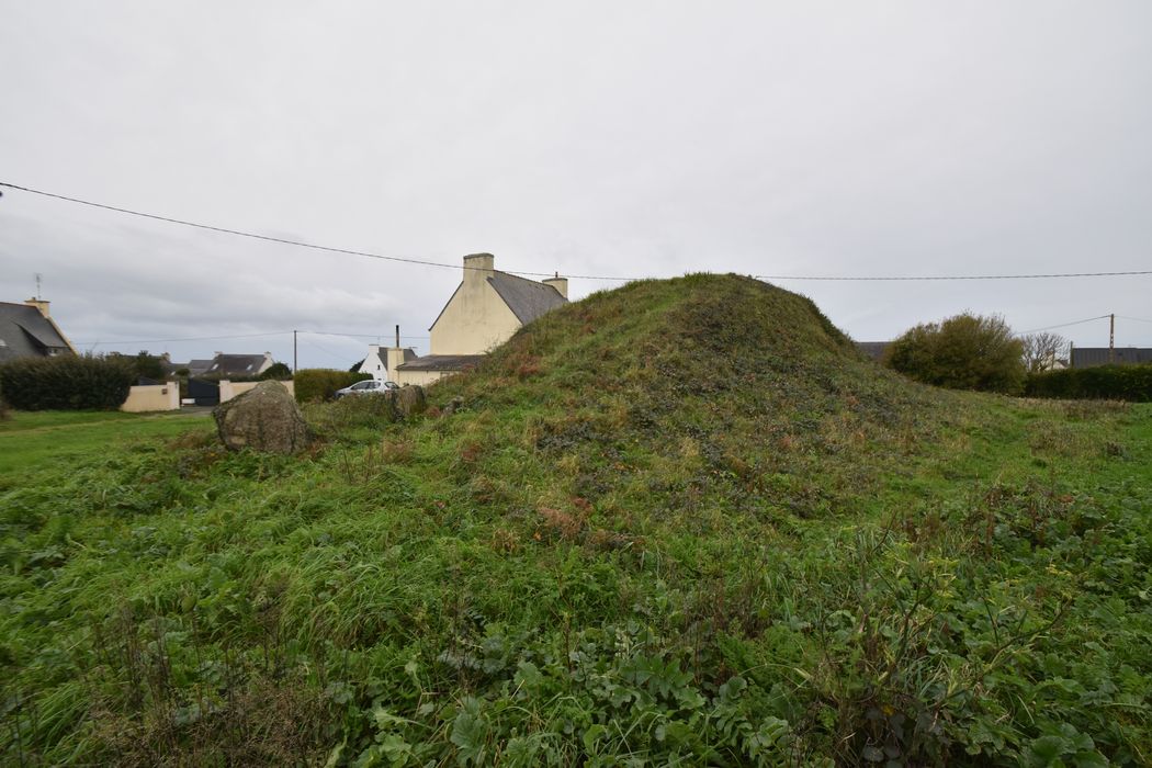 Vue générale du tumulus depuis le Nord-Est