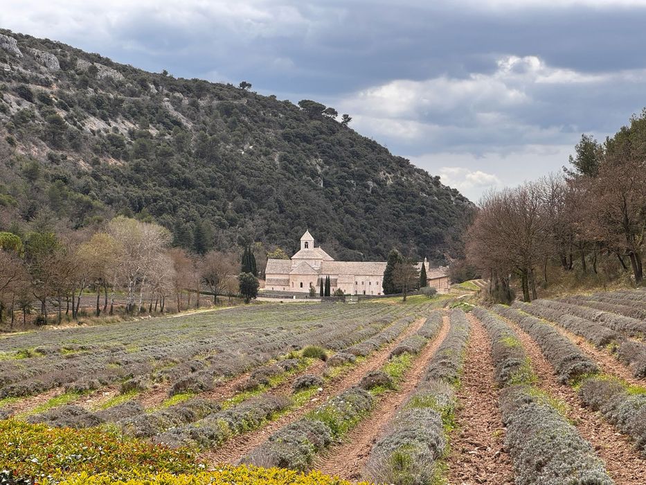 vue générale de l’abbaye dans son environnement depuis le Nord