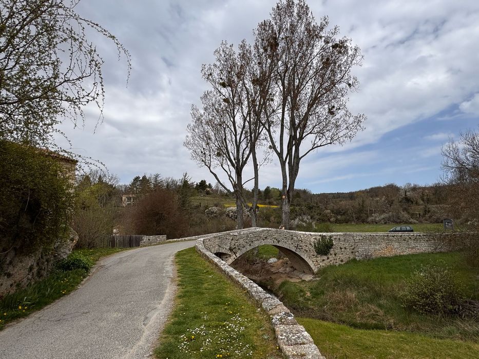 vue générale du pont dans son environnement depuis le Sud