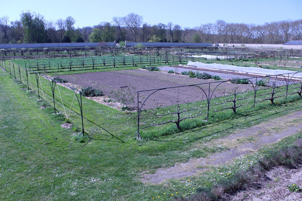 vue générale du potager depuis le Nord-Est