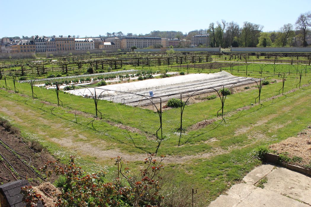 vue générale du potager depuis le Sud-Est