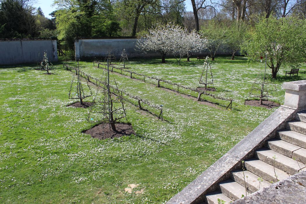 vue générale d’un verger dans un des carrés sud
