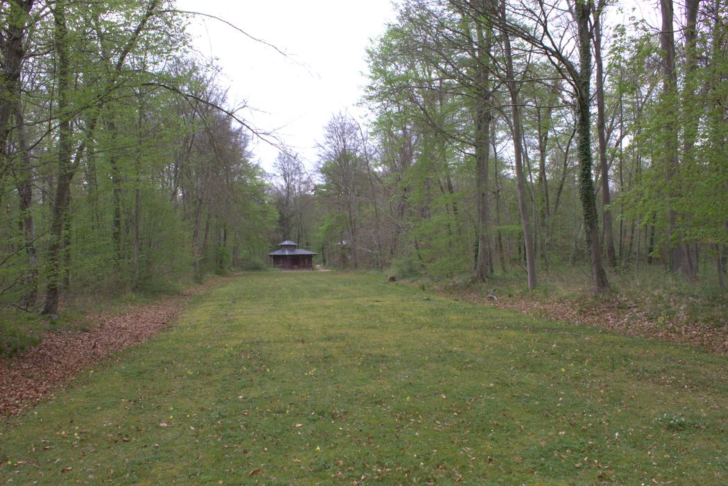 allée forestière en direction du Pas de tir