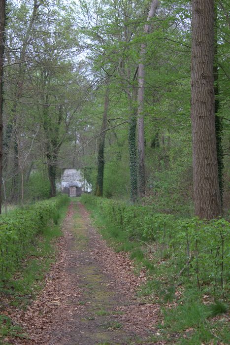 allée forestière depuis le Pas de tir
