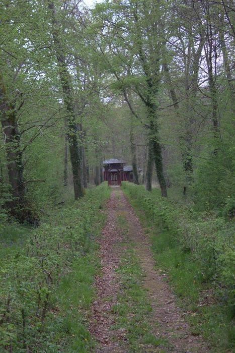 allée forestière en direction du Pas de tir