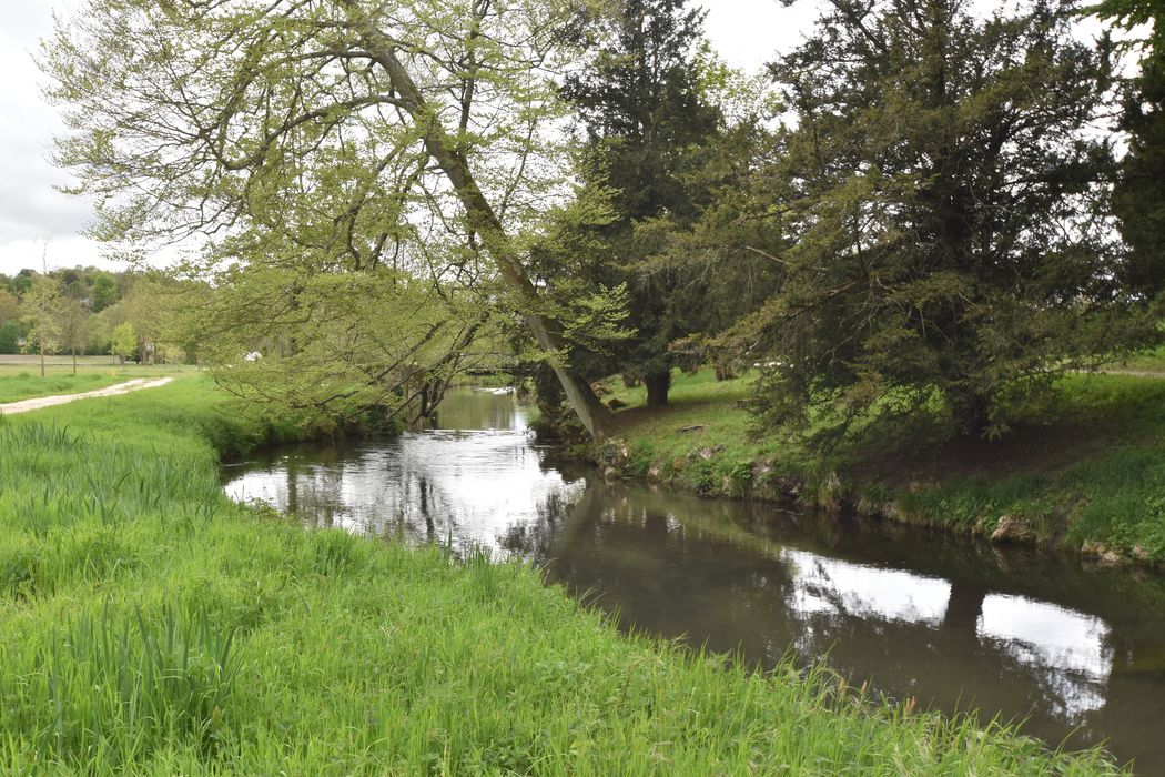 rivière de la Juine à proximité du potager en amont du pont du potager
