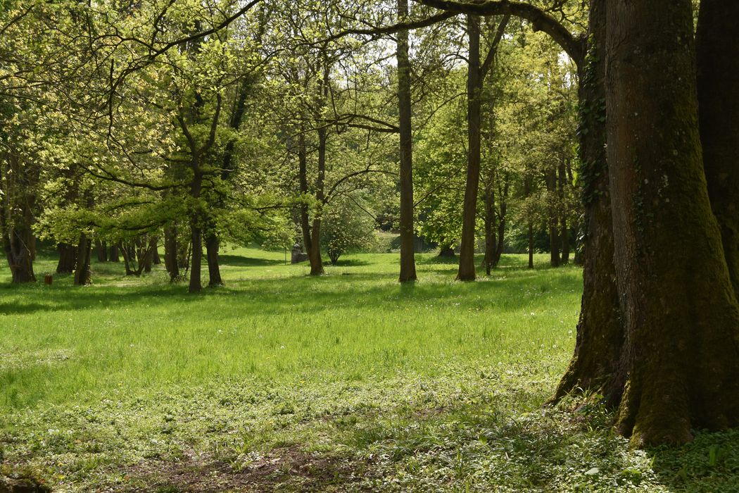vue partielle du parc depuis les vestiges de la serre en direction du Sud-Ouest