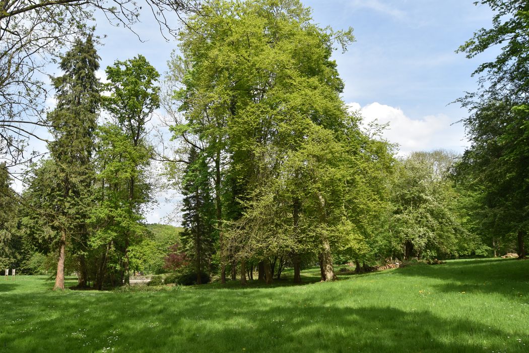 vue partielle du parc depuis l’étang sud en direction de l’Ouest