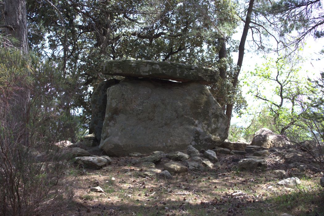 vue générale du dolmen