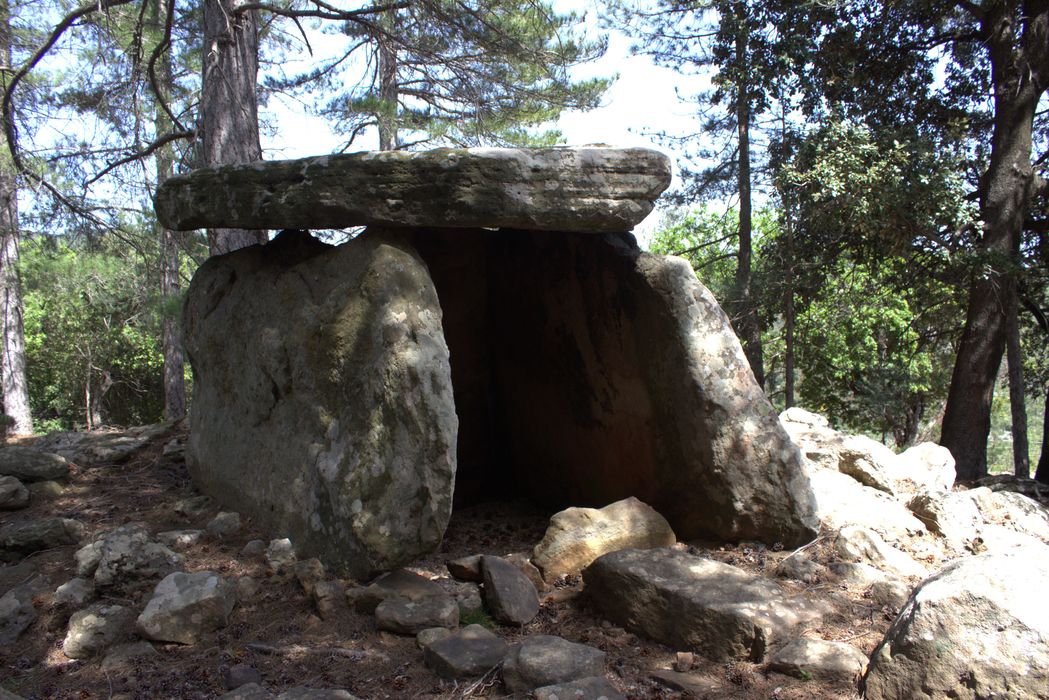 vue générale du dolmen