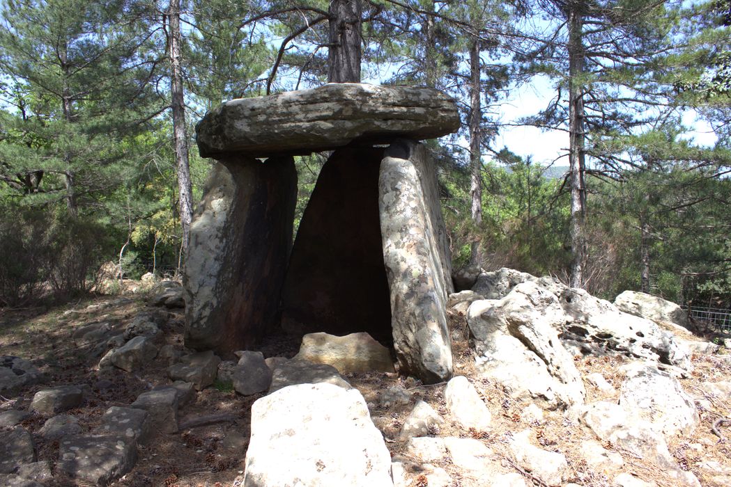 vue générale du dolmen