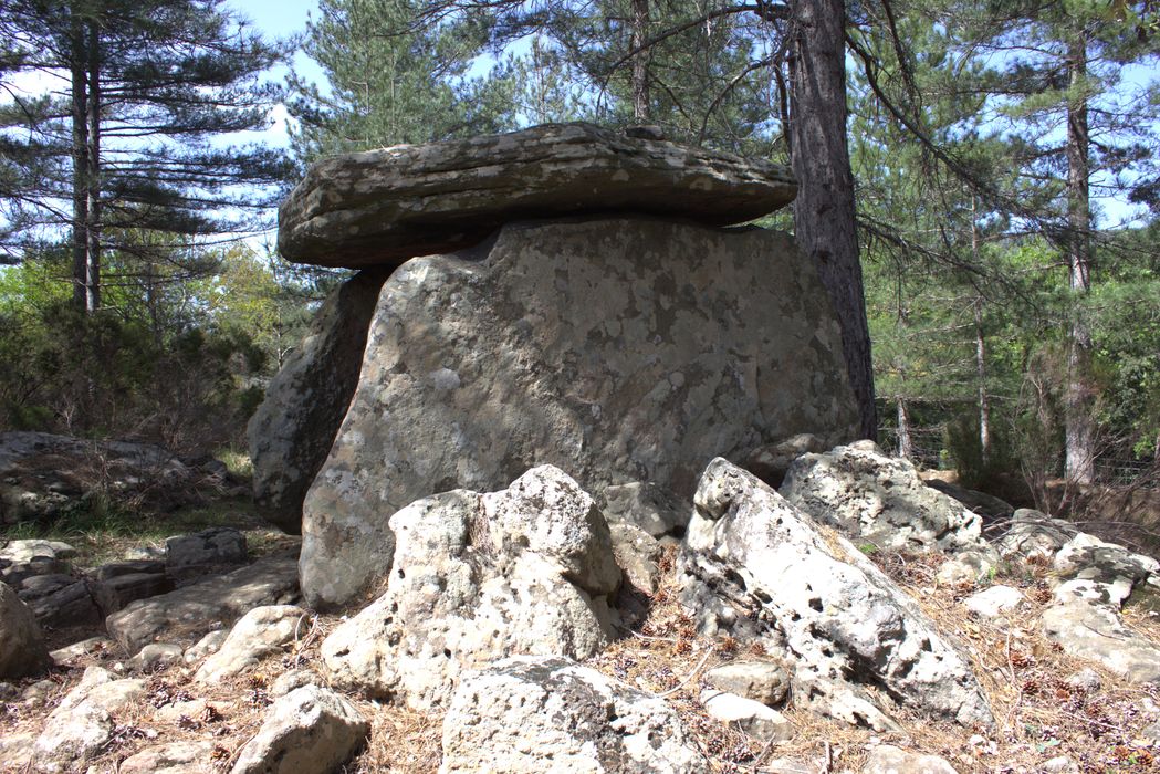 vue générale du dolmen