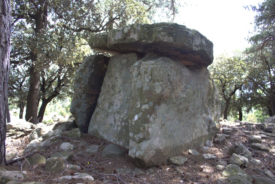 vue générale du dolmen