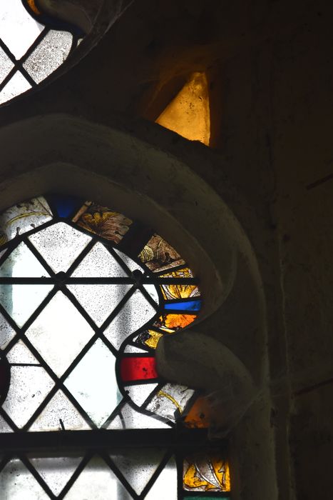 verrière : grisaille, bordure végétale, détail