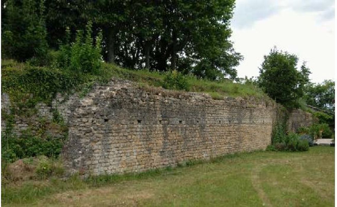 vue générale des vestiges