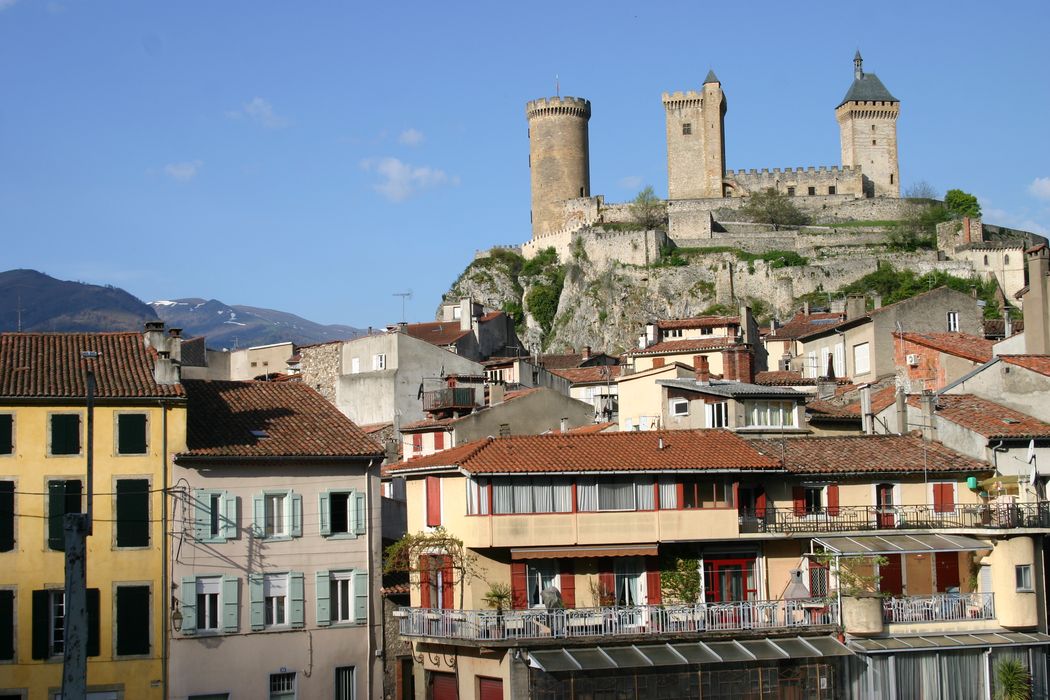 vue générale du château dans son environnement depuis l’Est