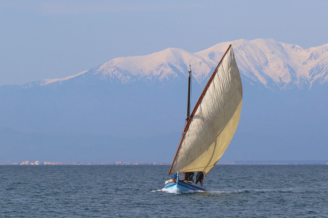 bateau de pêche (sardinale) : barque catalane à voile latine dite Notre-Dame-de-Consolation
