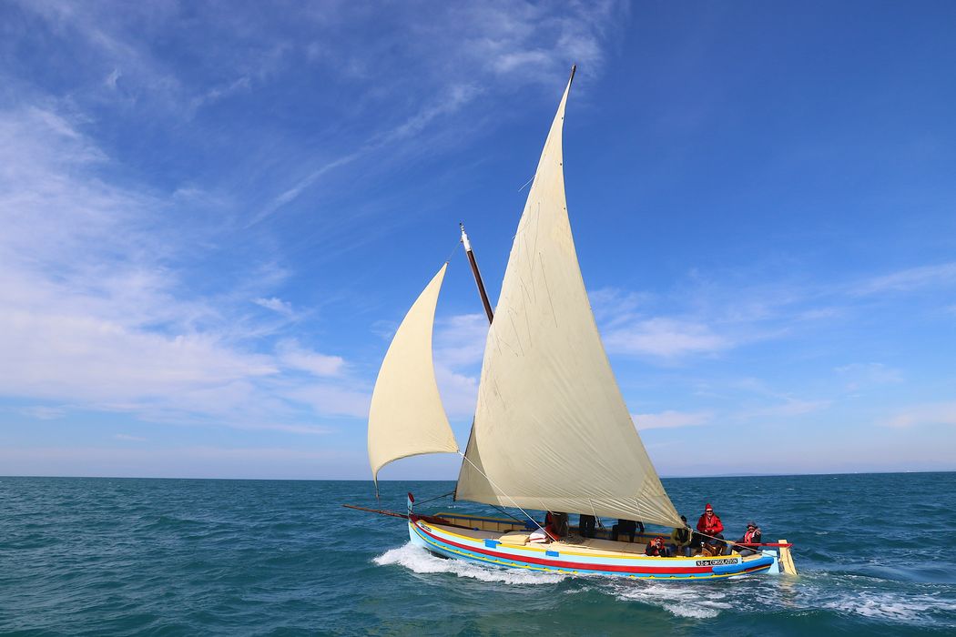 bateau de pêche (sardinale) : barque catalane à voile latine dite Notre-Dame-de-Consolation