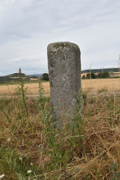 vue générale de la borne