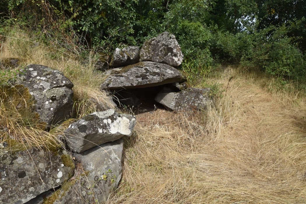 vue générale du dolmen