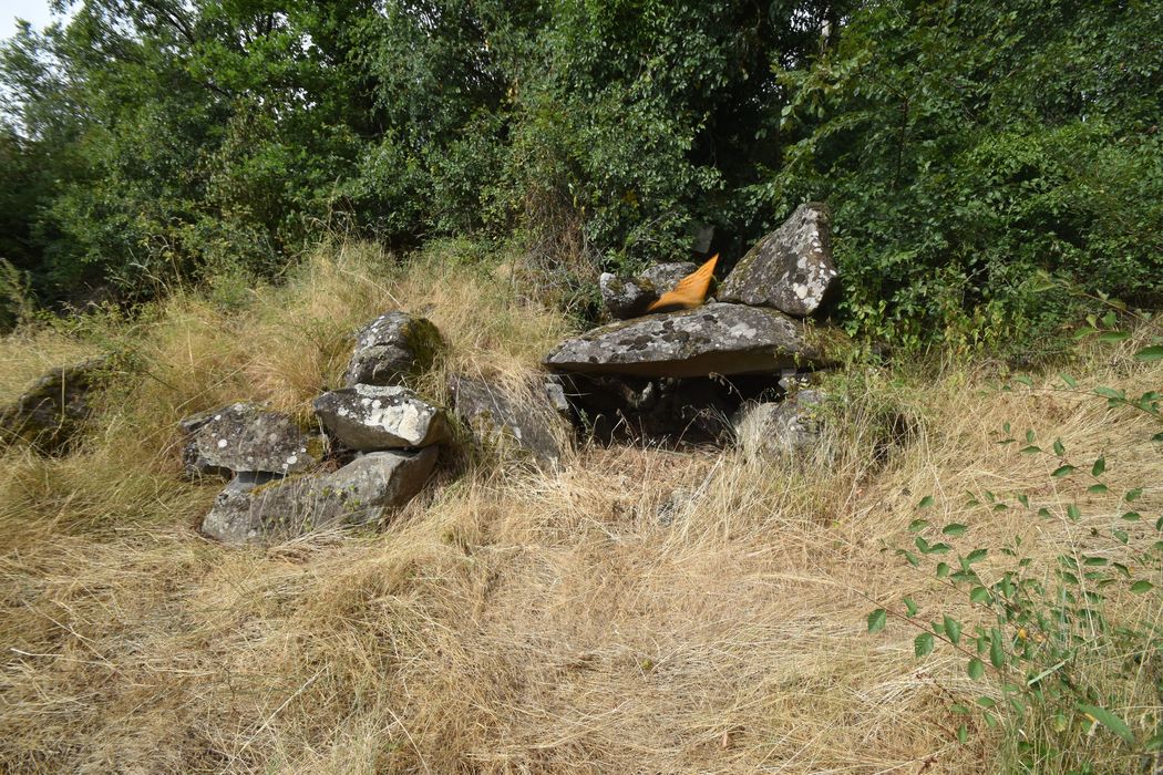 vue générale du dolmen