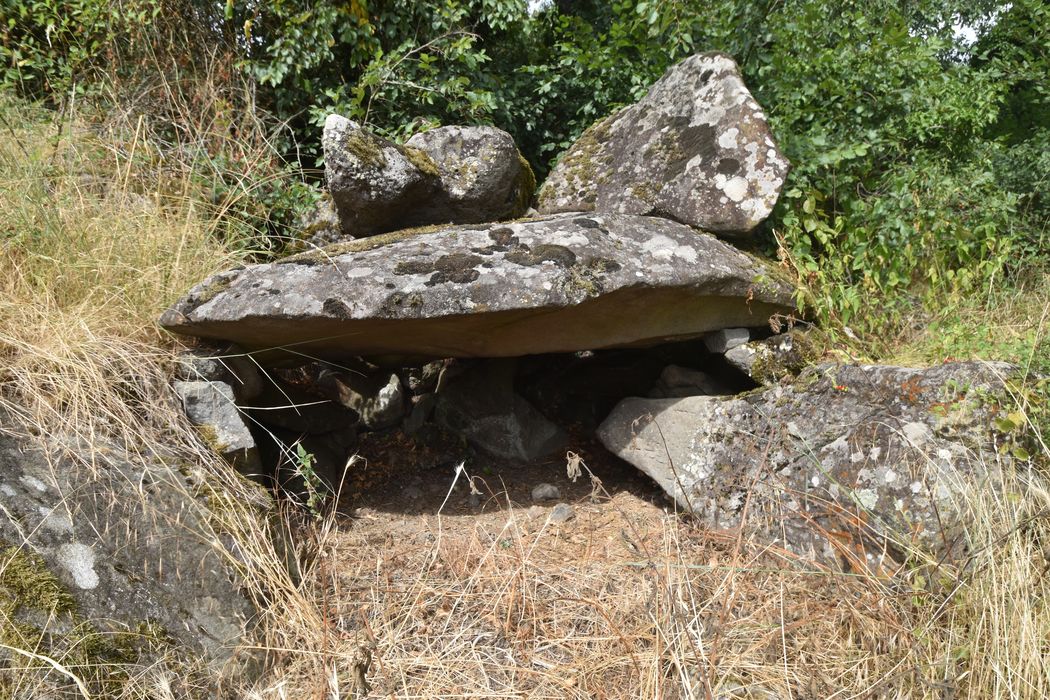 vue générale du dolmen