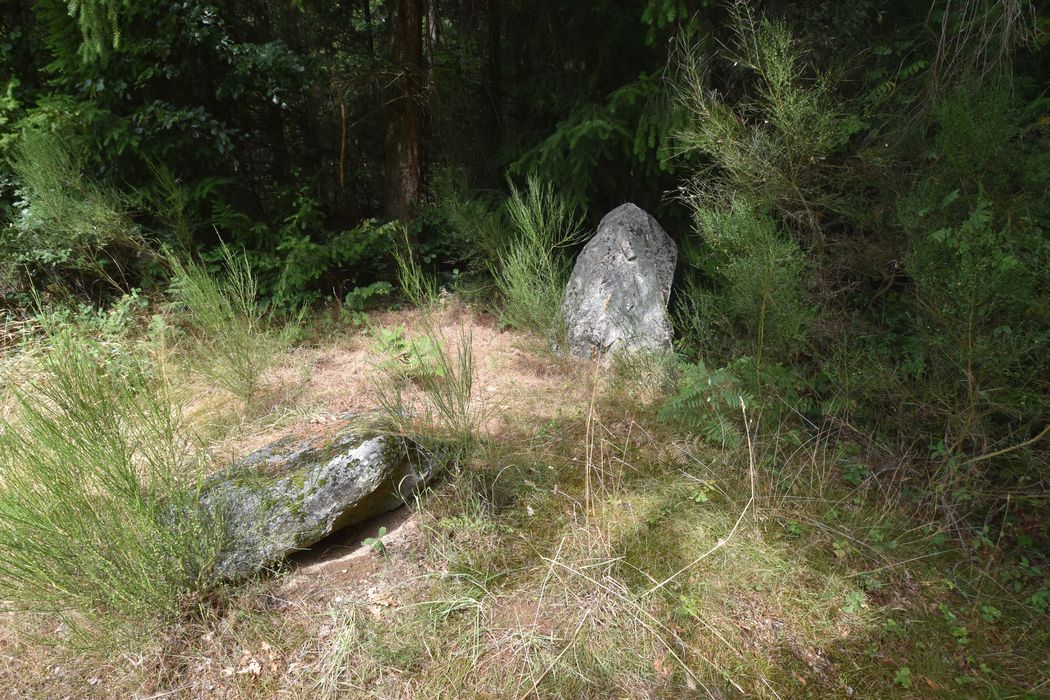 vue générale des mégalithes