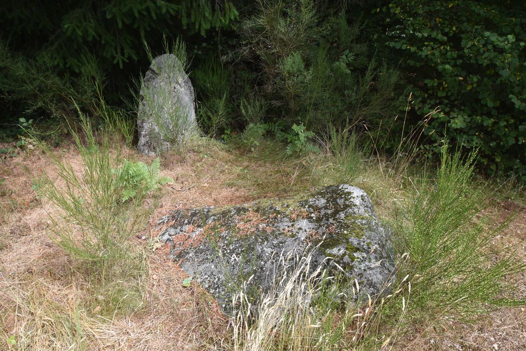vue générale des mégalithes